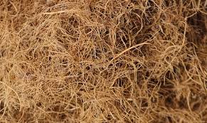 Cut Fibre